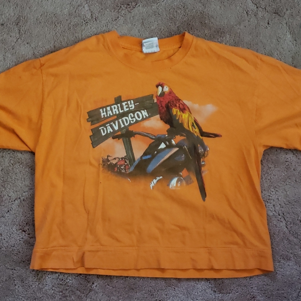 Graphic tee - Picture 3 of 4